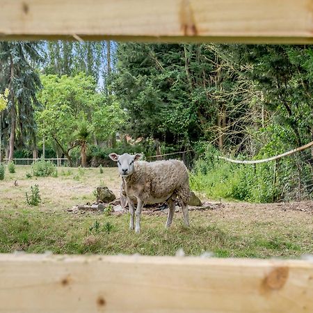 Heckington The Glebeヴィラ エクステリア 写真