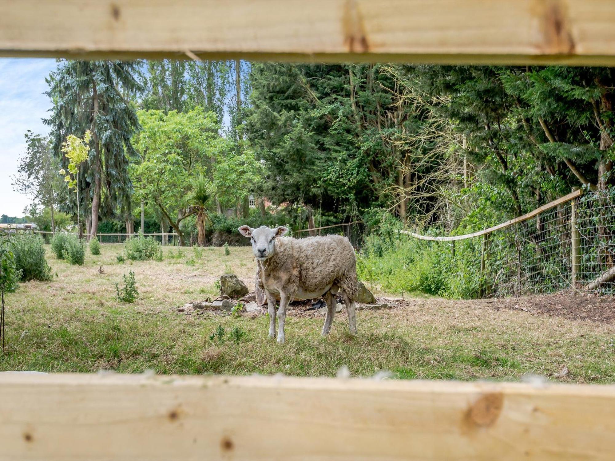 Heckington The Glebeヴィラ エクステリア 写真
